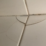 Leaky Showers Brisbane - Cracked Tiles In Your Shower